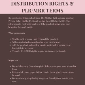 Faceless Creator Starter Kit PLR & MRR