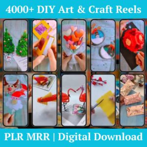 4000+ DIY Art & Craft Reels PLR MRR